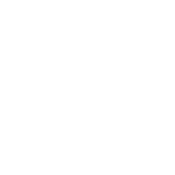 Fully Insured